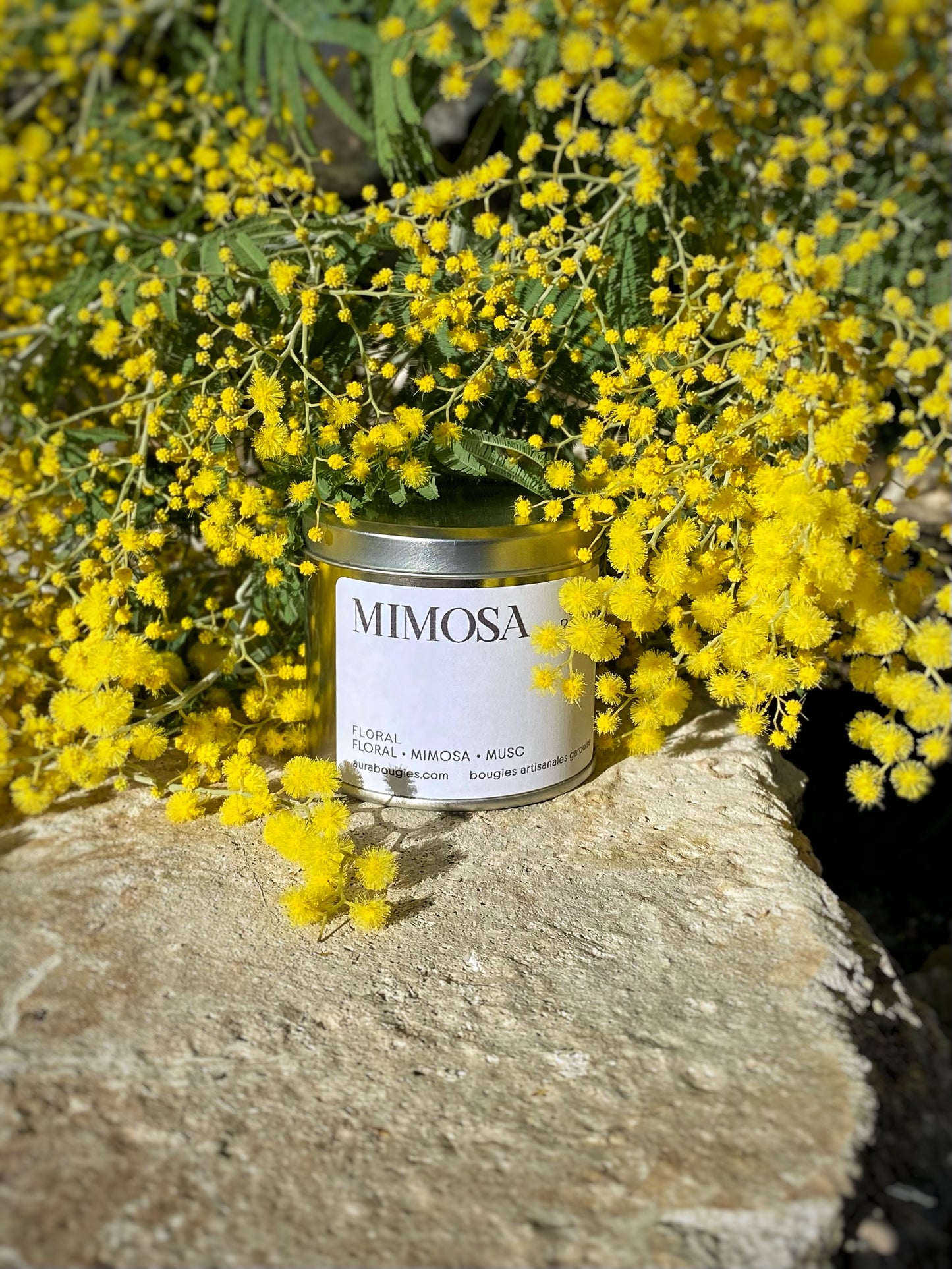 Bougie Parfum Mimosa - Gamme FLORAL