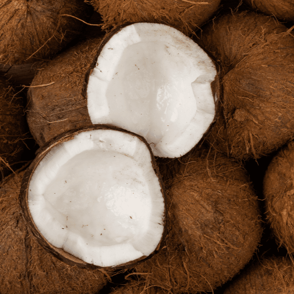 Bougie Parfum Noix de Coco - Gamme FRUITÉE